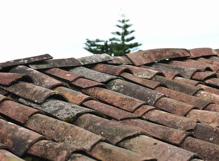 roof with shingles needing replacement